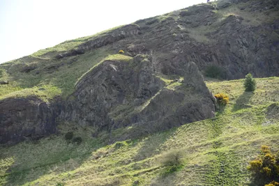 DSC_7347 (Large).JPG